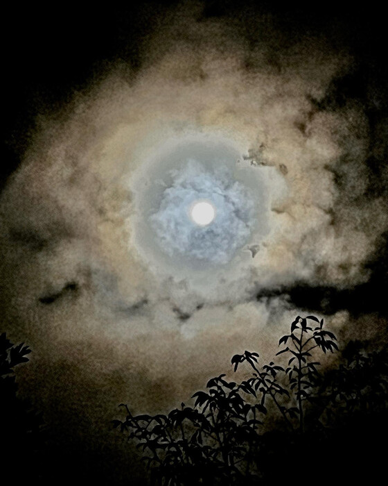 画像485