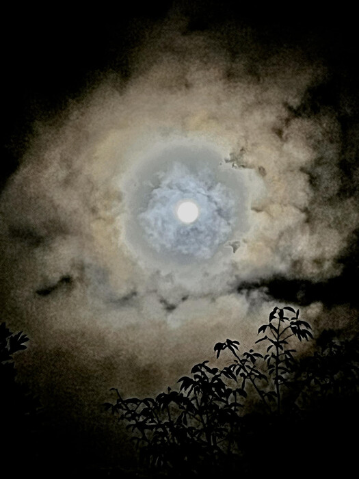 画像489