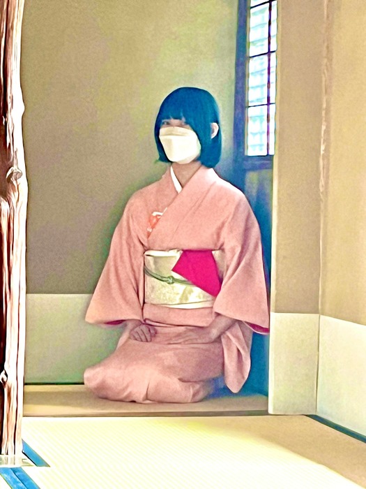 画像527